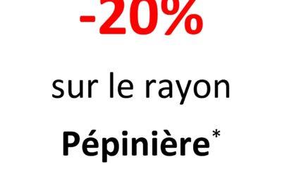 -20% sur le rayon Pépinière