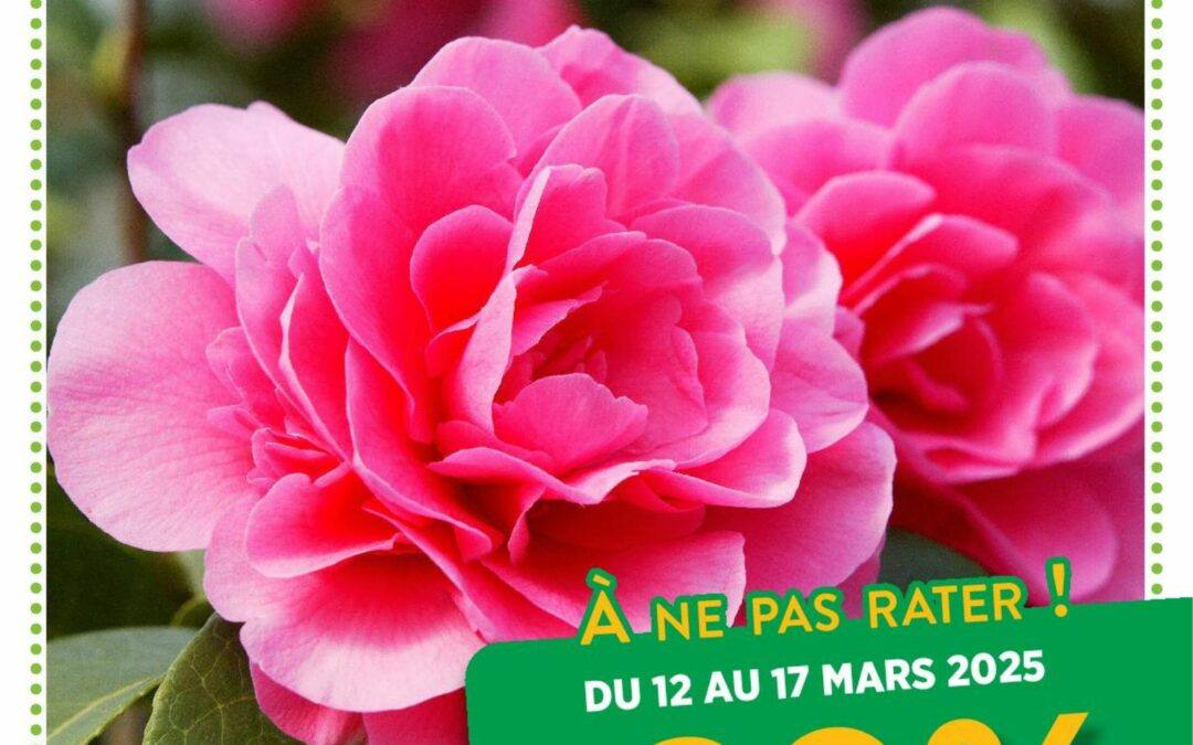 -20% sur tout le magasin !