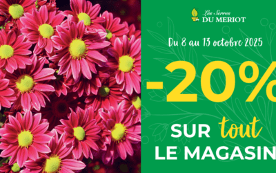 -20% sur TOUT le magasin !
