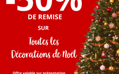 -50% sur les décorations de Noël !