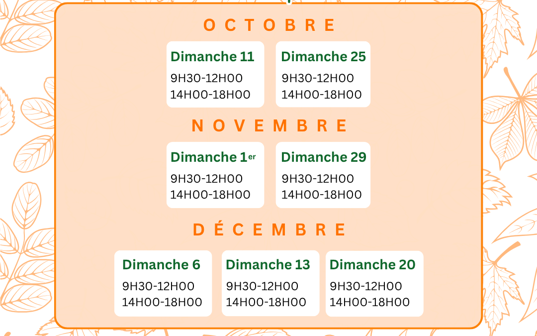 L&rsquo;agenda de l&rsquo;Automne 2026