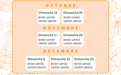 L&rsquo;agenda de l&rsquo;Automne 2026